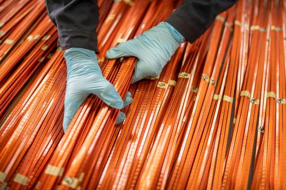 Scientists Discover Olympic-Grade Copper Microbes to Combat Global Copper Deficit